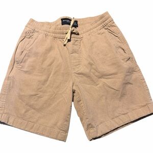 Abercrombie & Fitch Light Brown Flat Front Shorts